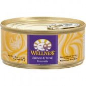 Wellness Can Salmon and Trout Formula 5.5oz 
